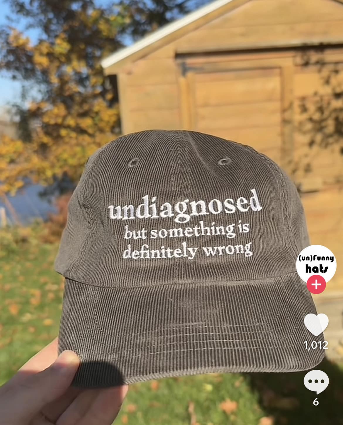 Image of a hat